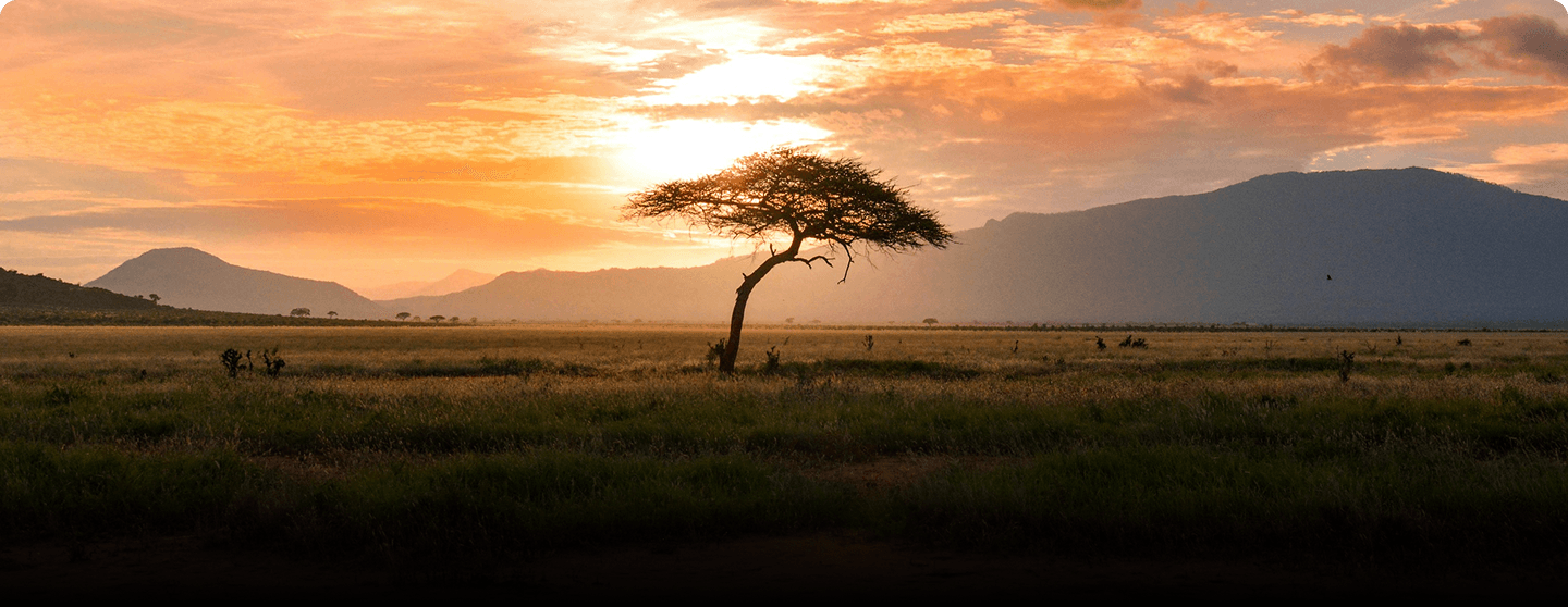 Africa