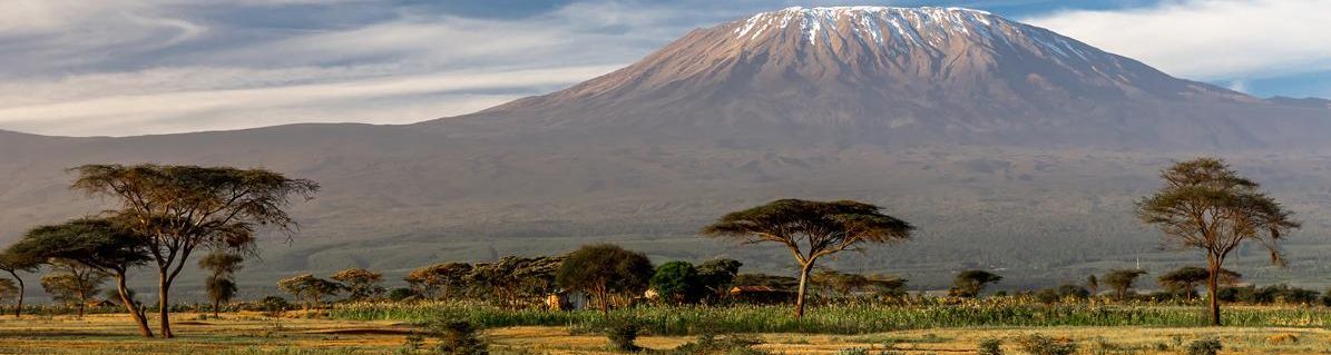 Africa